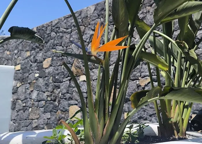 Koniko Santorini Private Pool 别墅 *