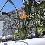Koniko Santorini Private Pool Villa *