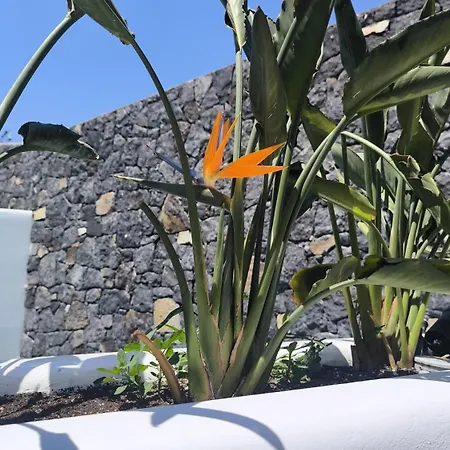 Koniko Santorini Private Pool Willa *